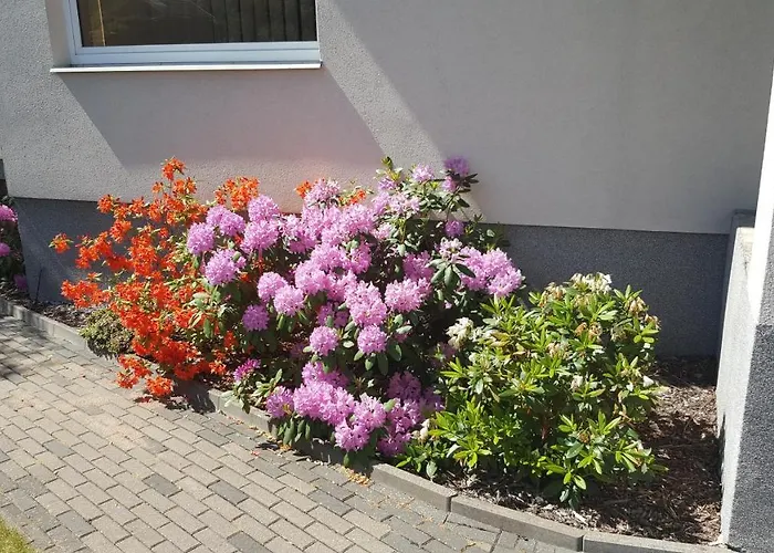 菲利西玛雅酒店 3*