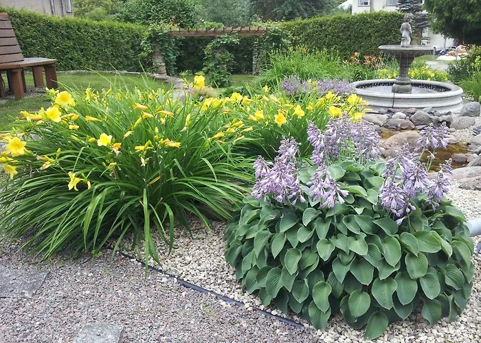 Felixi Maja Viljandi (Viljandimaa)