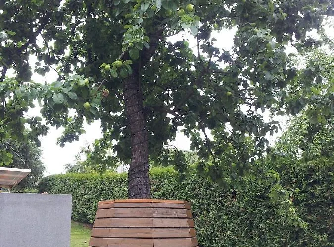 菲利西玛雅酒店 3*